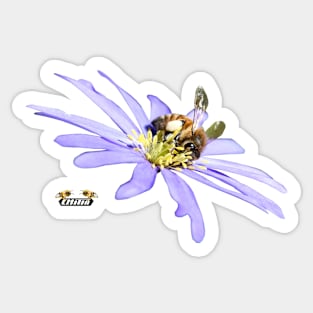 Honey bee busy / Swiss Artwork Photography Sticker